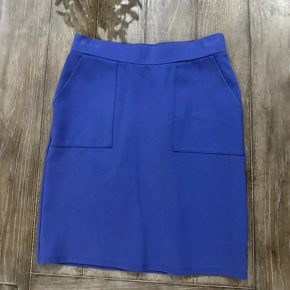 LOFT Skirt - Picture 1 of 8